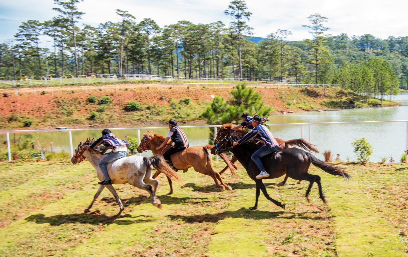 Giải đua ngựa không yên thường niên.