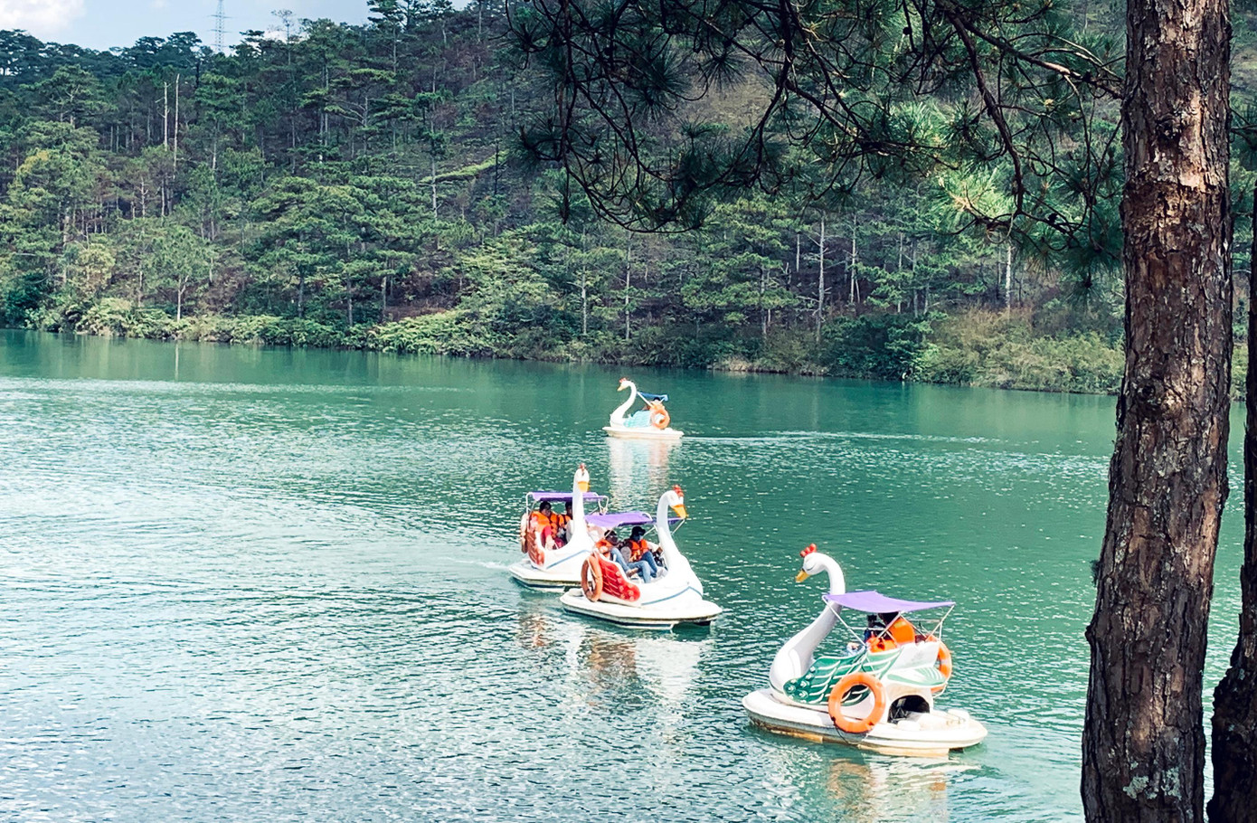 Thung lũng tình yêu Đà Lạt, thắng cảnh nổi tiếng ở Đà Lạt Thung lũng tình yêu Đà Lạt, thắng cảnh nổi tiếng ở Đà Lạt