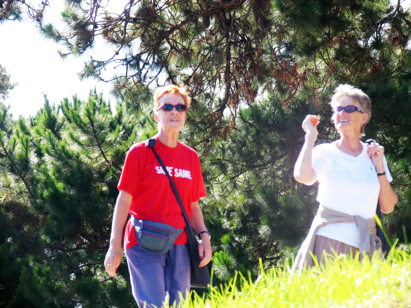 Du khách dạo chơi trên đồi thông Du khách dạo chơi trên đồi thông