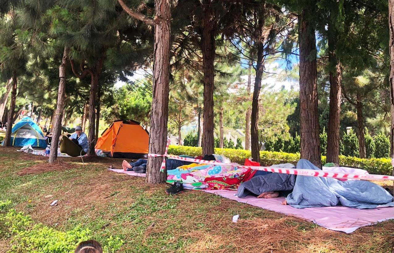 Du khách quấn chăn ngủ trong rừng thông Du khách quấn chăn ngủ trong rừng thông