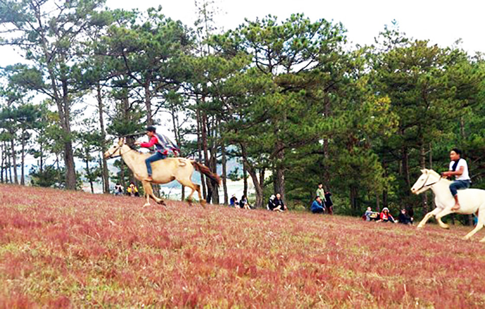 Đua ngựa không yên là môn thể thao truyền thống ưa thích của các chàng trai K'Ho Đua ngựa không yên là môn thể thao truyền thống ưa thích của các chàng trai K'Ho