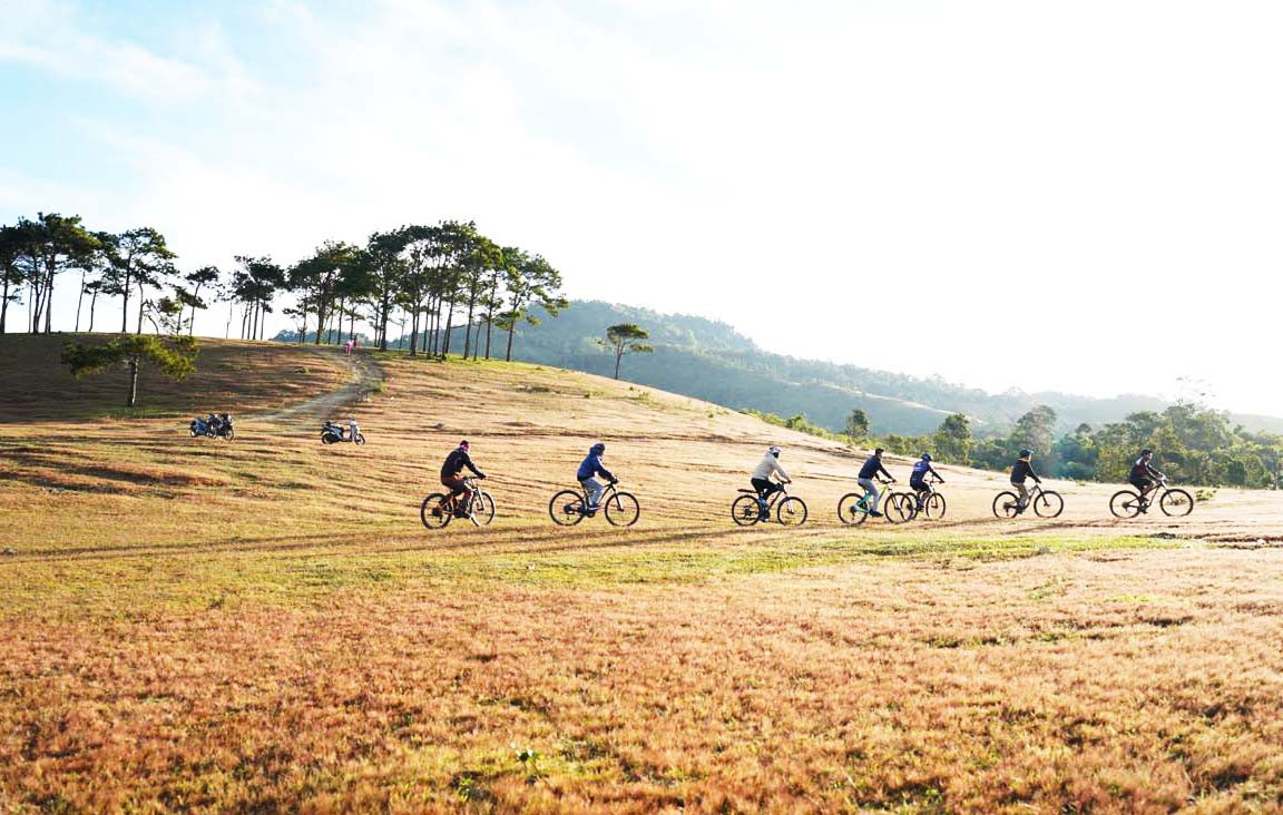 Đồi cỏ hồng ngậm sương Đồi cỏ hồng ngậm sương