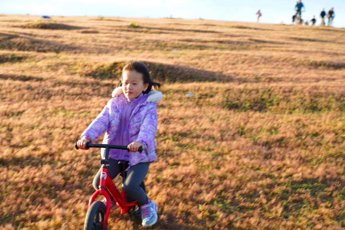 Cảnh đẹp trên đồi cỏ hồng Cảnh đẹp trên đồi cỏ hồng