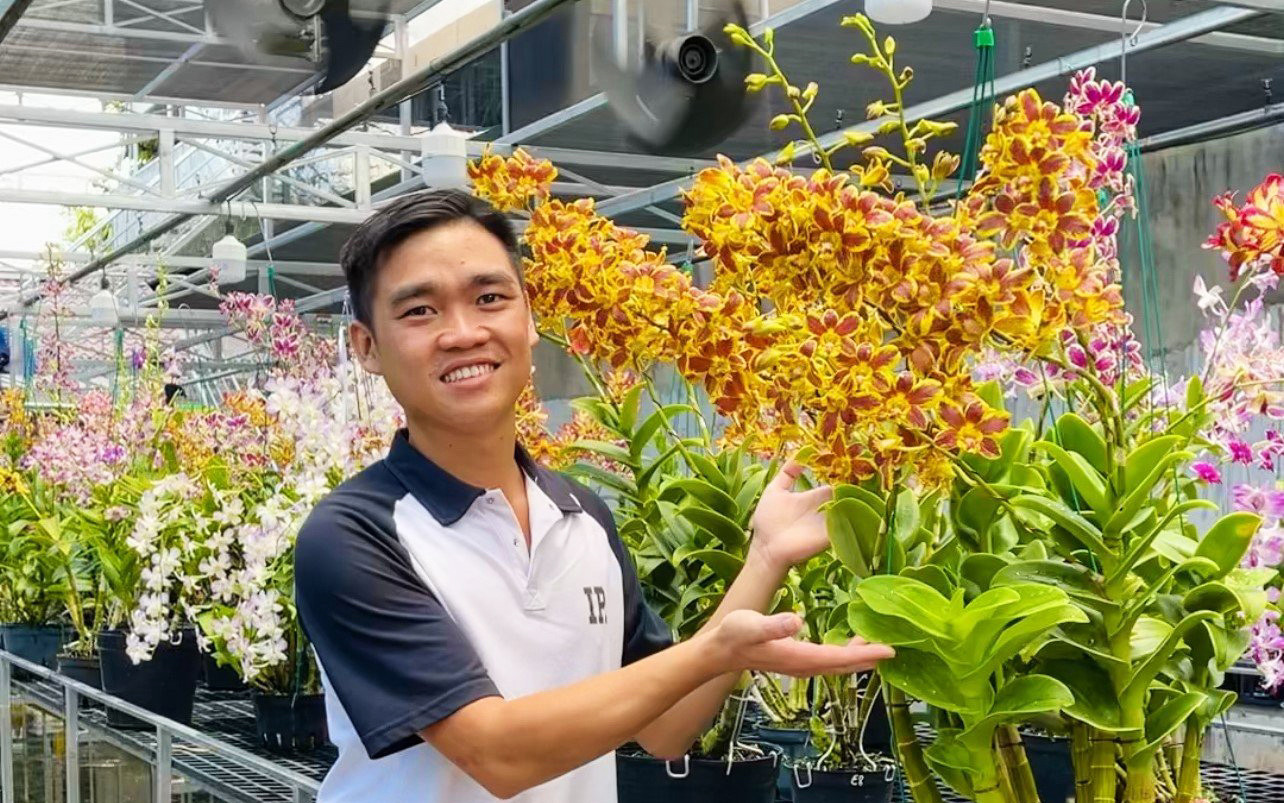 Vườn lan nở hoa rực rỡ của anh Vũ Đức Nghi Vườn lan nở hoa rực rỡ của anh Vũ Đức Nghi