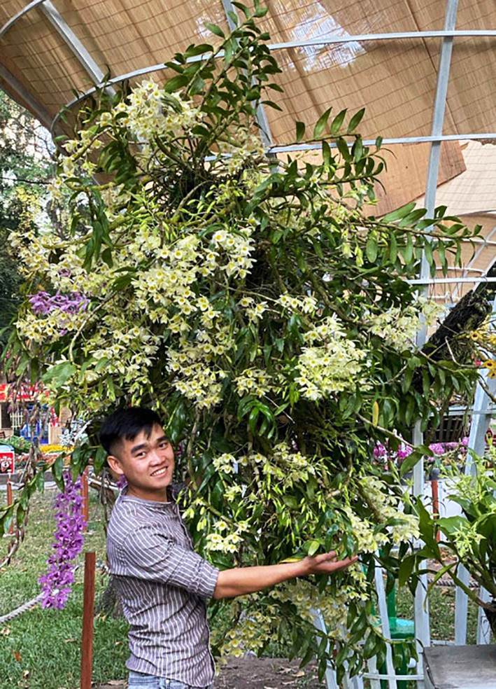 Giò hoa có đường kính ''khủng'' Giò hoa có đường kính ''khủng''