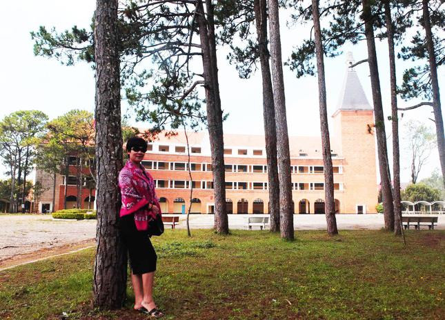 Rừng thông tuyệt đẹp trong khuôn viên trường