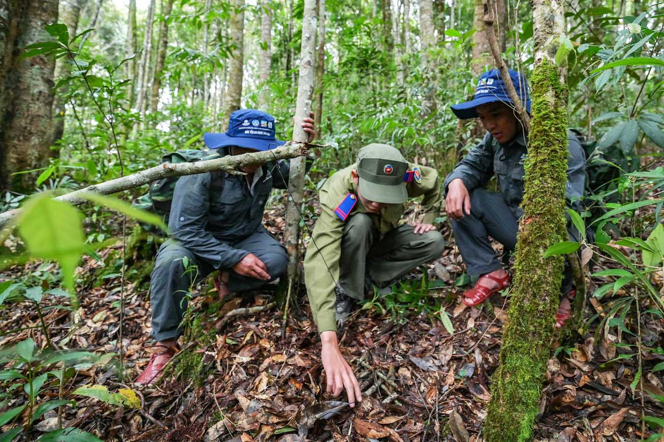 Tháo gỡ bẫy thú trong rừng