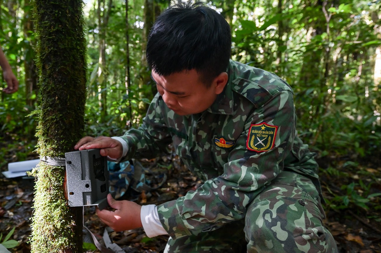 Đặt bẫy ảnh để điều tra về thú rừng