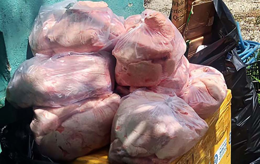 Nội tạng heo không rõ nguồn gốc bị cơ quan chức năng thu giữ, tiêu hủy
