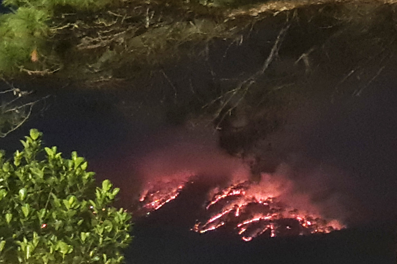 Nơi xảy ra hỏa hoạn, đa phần là cây thông nên dễ bắt lửa