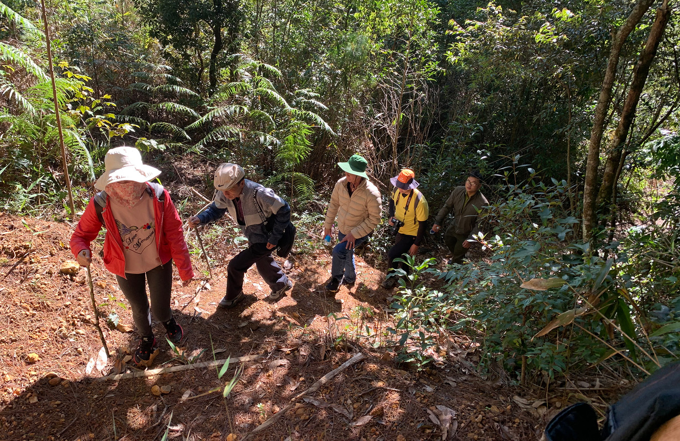Du khách lội bộ xuyên rừng để đến Cổng trời