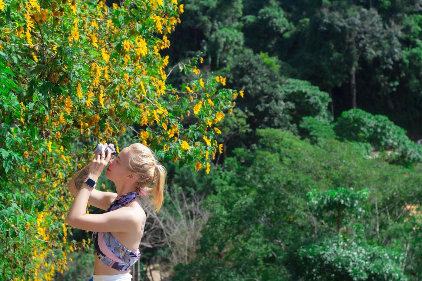 Du khách chụp ảnh đồi hoa quỳ trên cao nguyên Du khách chụp ảnh đồi hoa quỳ trên cao nguyên