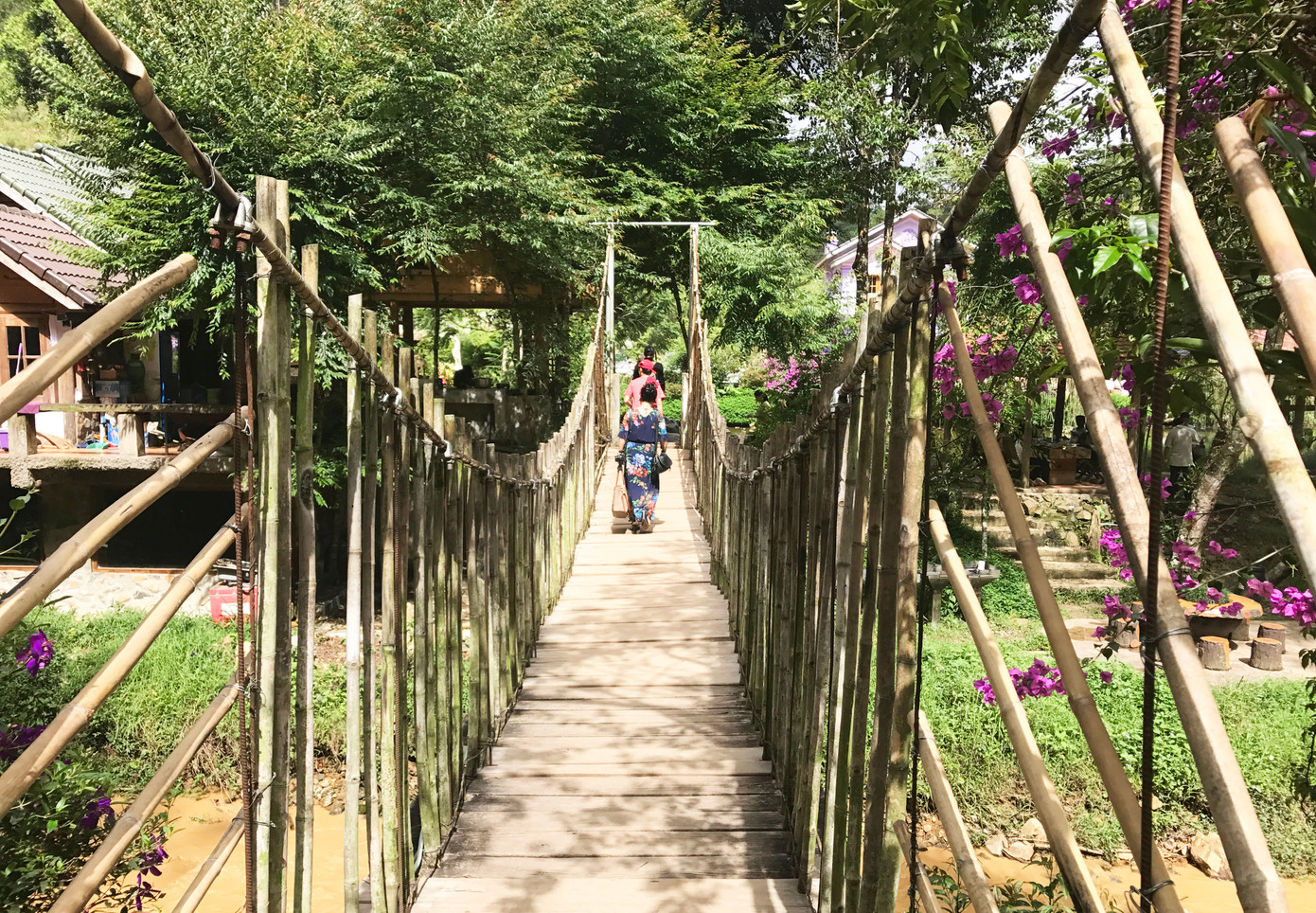 Xem xét độ an toàn của những cây cầu treo vượt suối