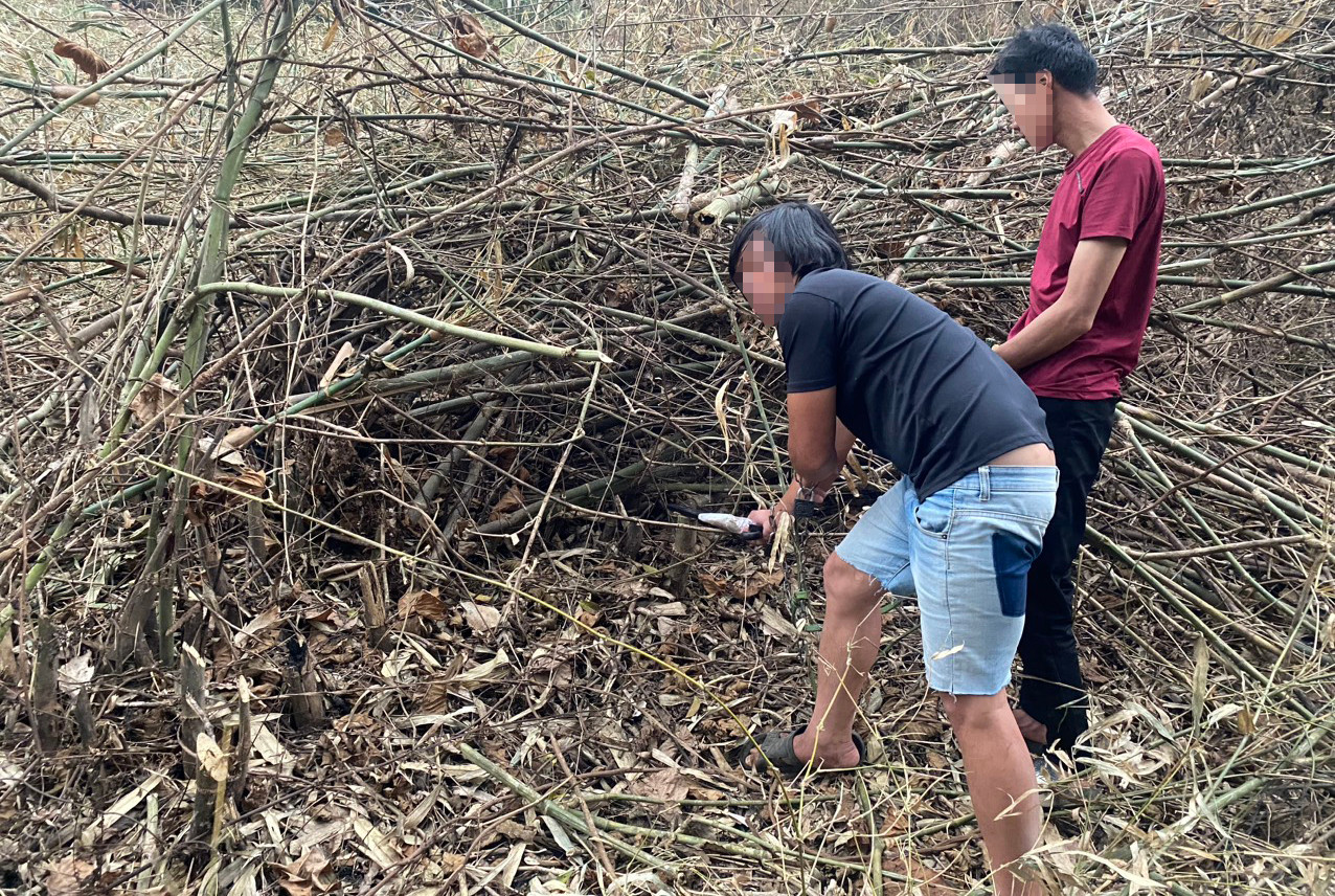 Các đối tượng thực nghiệm hành vi phá rừng Các đối tượng thực nghiệm hành vi phá rừng