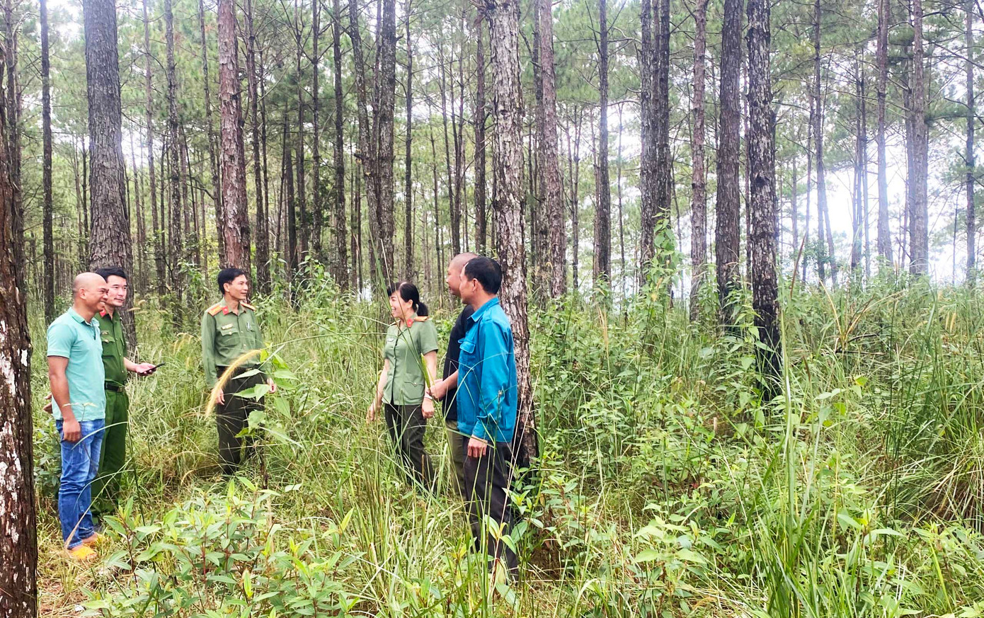 Nhiều cánh rừng được bảo vệ khỏi sự xâm hại của lâm tặc Nhiều cánh rừng được bảo vệ khỏi sự xâm hại của lâm tặc