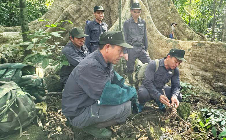 Đội tuần tra tháo gỡ bẫy thú
