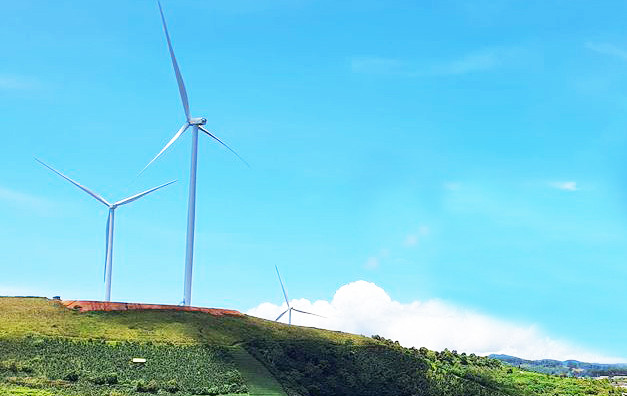 Một góc Điện gió Cầu Đất