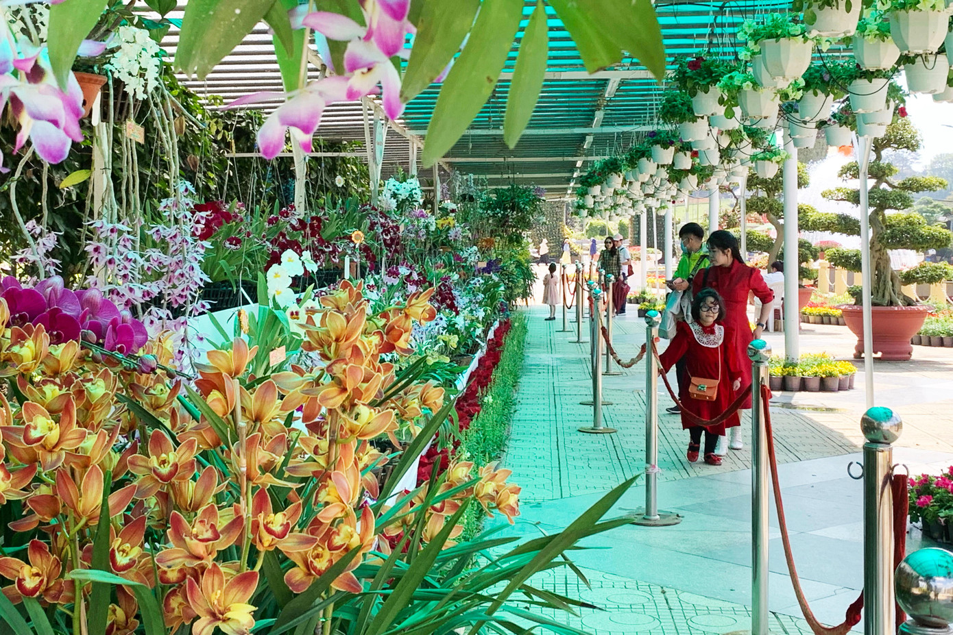 Tham quan khu trưng bày hoa lan ở Đà Lạt Tham quan khu trưng bày hoa lan ở Đà Lạt