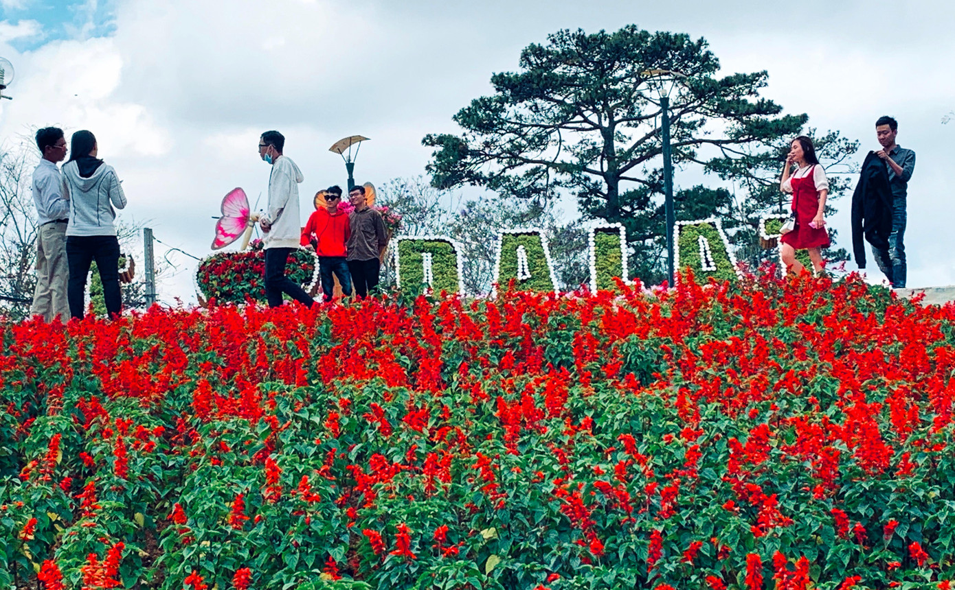 Hàng vạn loài hoa rực rỡ đã tô điểm thêm nét quyến rũ cho vùng đất với cảnh sắc thiên nhiên tươi đẹp như Đà Lạt, thu hút nhiều du khách đến tham quan, ngắm hoa. Hàng vạn loài hoa rực rỡ đã tô điểm thêm nét quyến rũ cho vùng đất với cảnh sắc thiên nhiên tươi đẹp như Đà Lạt, thu hút nhiều du khách đến tham quan, ngắm hoa.