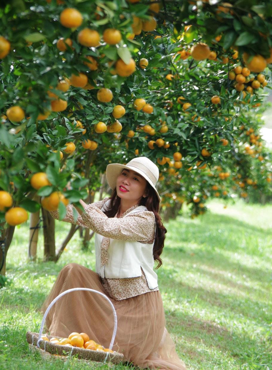 Du khách tham quan, check in trong vườn quýt. Ảnh: Bông sen trắng