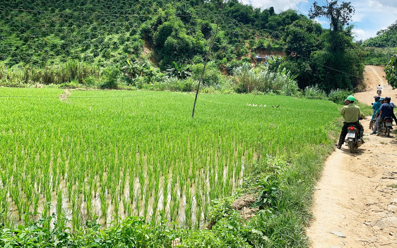 Cây cà phê và lúa nước giúp nhiều hộ dân xã Đồng Nai Thượng thoát nghèo