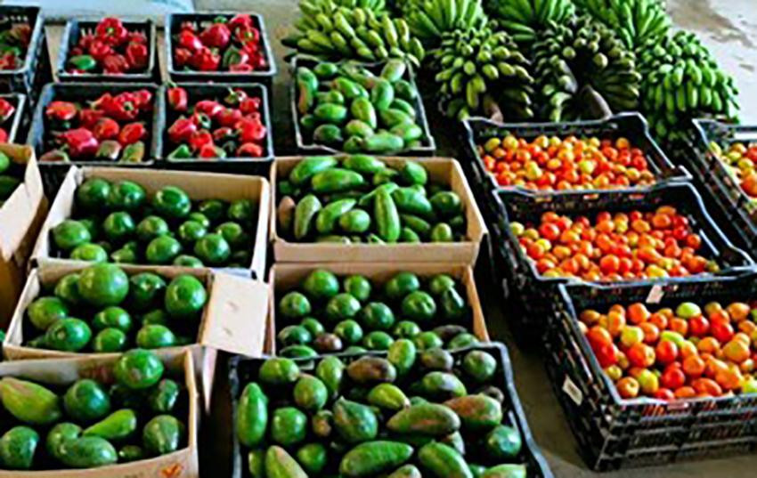 Một số loại nông sản bị tồn đọng nhiều Một số loại nông sản bị tồn đọng nhiều