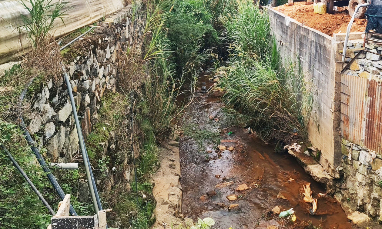 Việc xây dựng trái phép và cây cỏ mọc um tùm đã làm thu hẹp dòng chảy của suối Cam Ly.