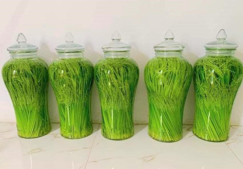 Rượu đòng đòng nếp quýt Rượu đòng đòng nếp quýt