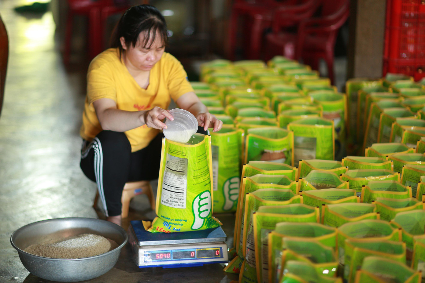 Đóng gói để tiêu thụ dịp Tết Nhâm Dần Đóng gói để tiêu thụ dịp Tết Nhâm Dần