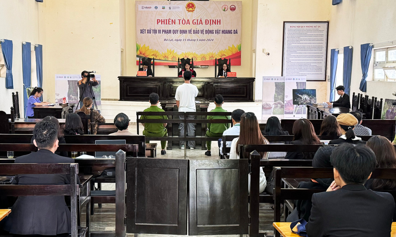 Phiên tòa giả định Phiên tòa giả định