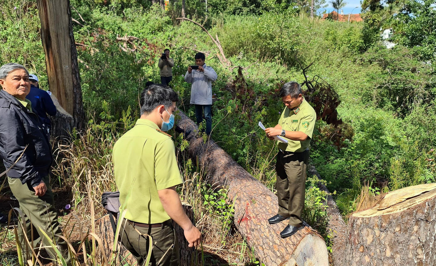 Lực lượng chức năng khám nghiệm hiện trường