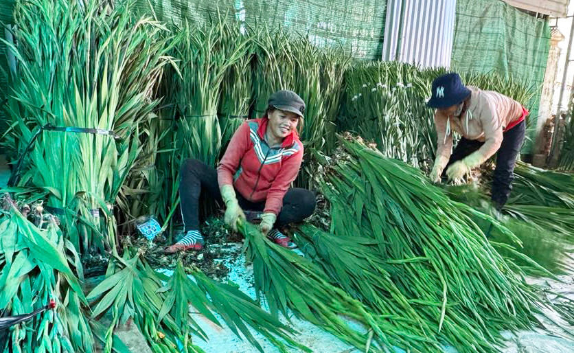 Người lao động phấn khởi vì được trả công cao