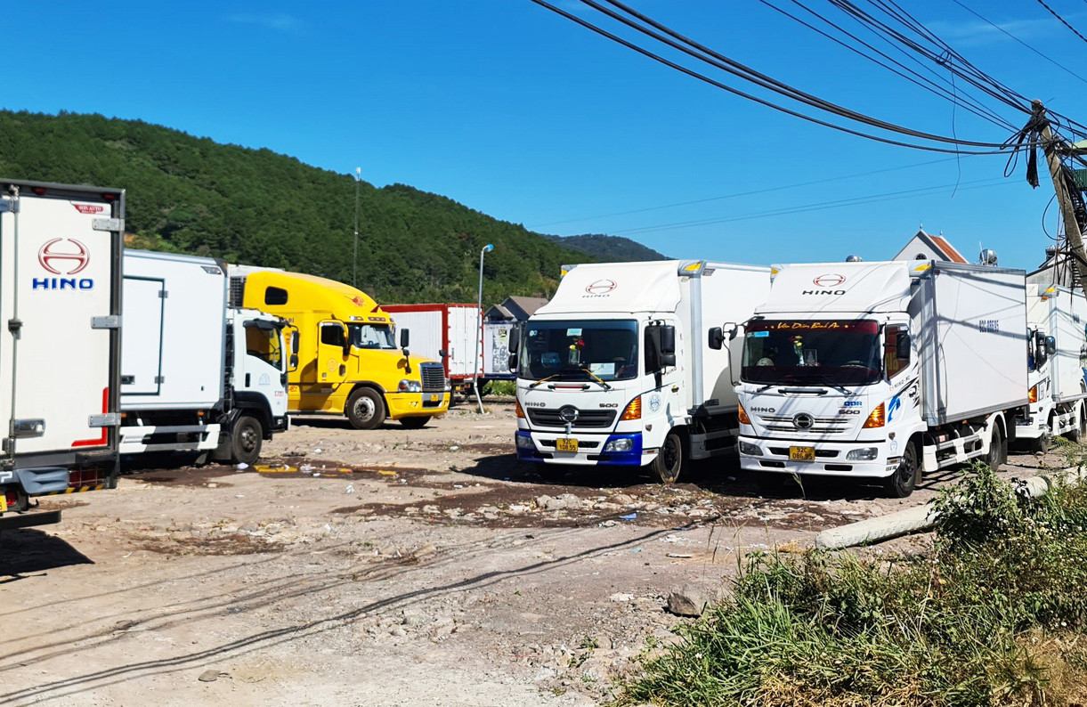 Xe đông lạnh chở hoa đi các tỉnh