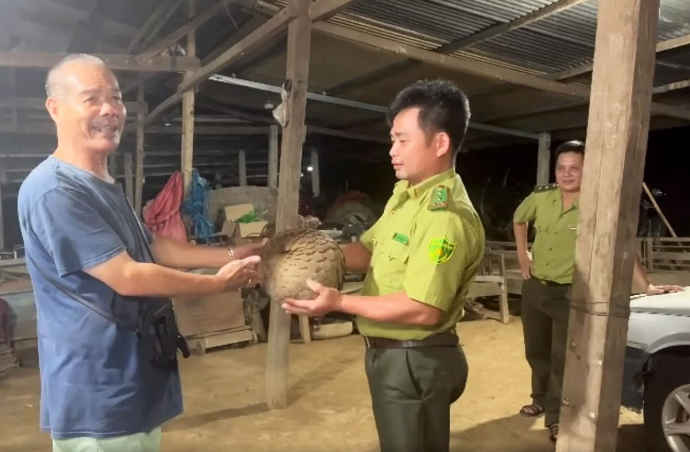 Người dân giao nộp con tê tê. Người dân giao nộp con tê tê.