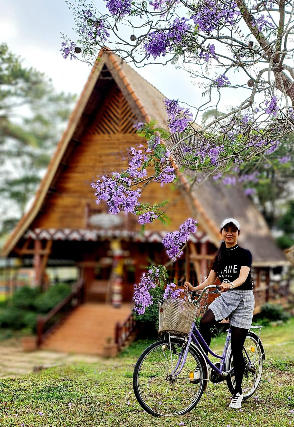 Phượng tím Đà Lạt. Ảnh Facebook Hoa Phạm