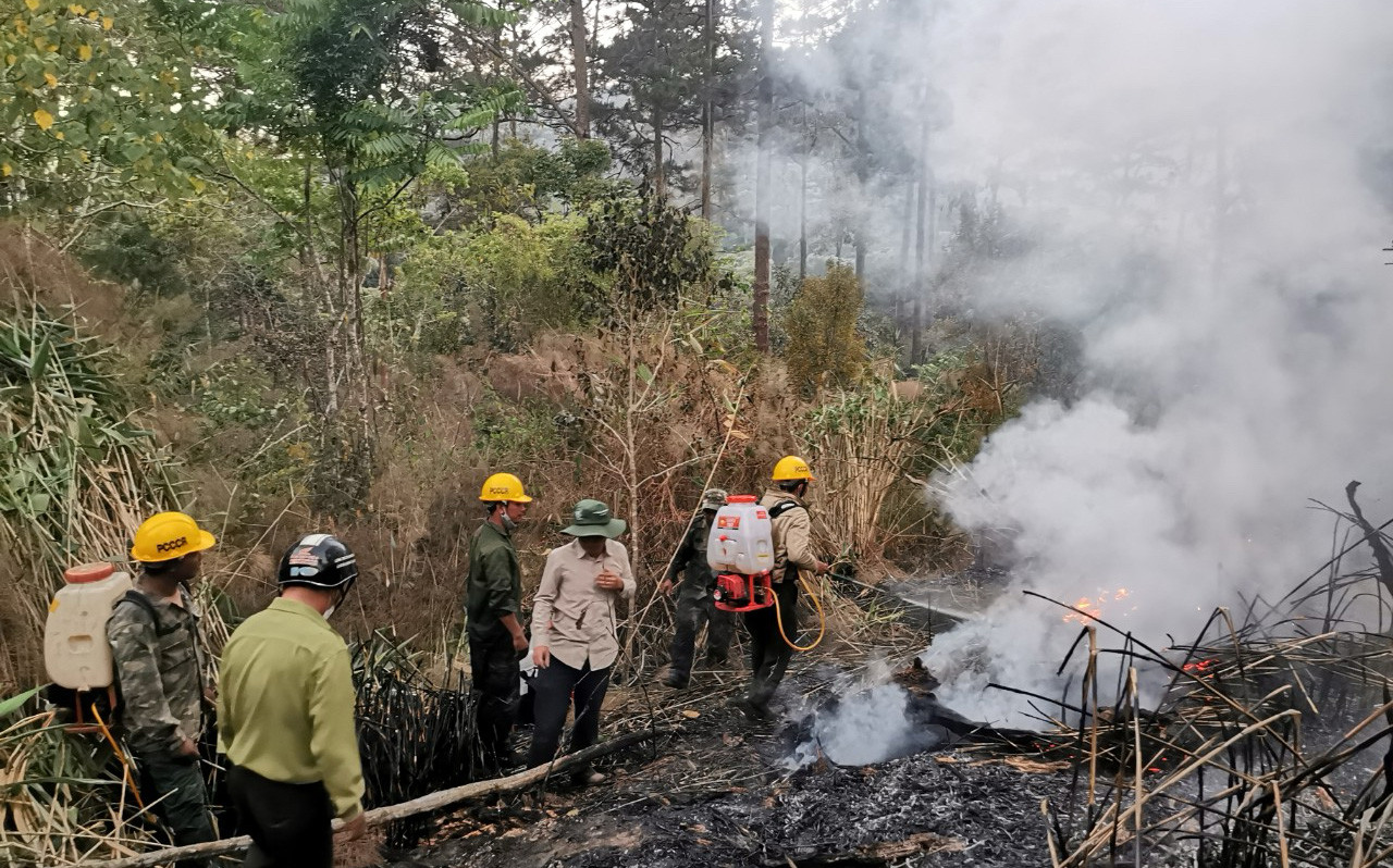 Nhiều lực lượng dùng bình cứu hỏa mini để chữa cháy