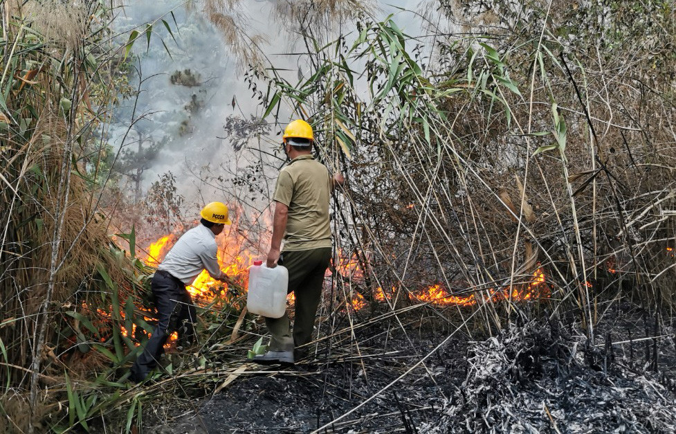 Tạo lập những lằn ranh để cản lửa