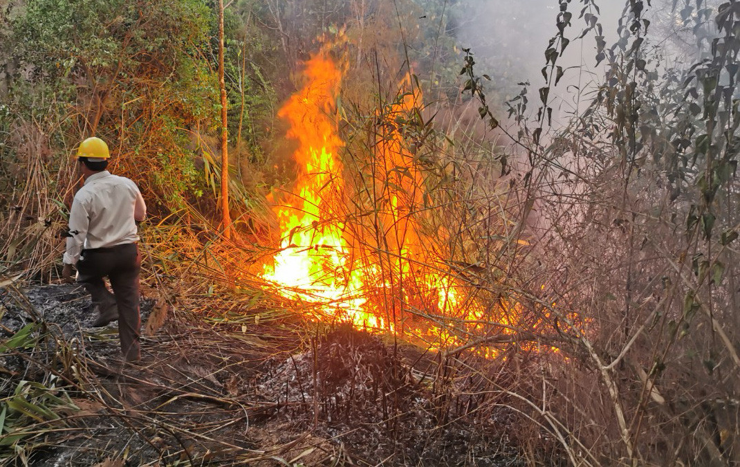 Thảm thực bì khô và dầy khiến lửa nhanh chóng cháy lan
