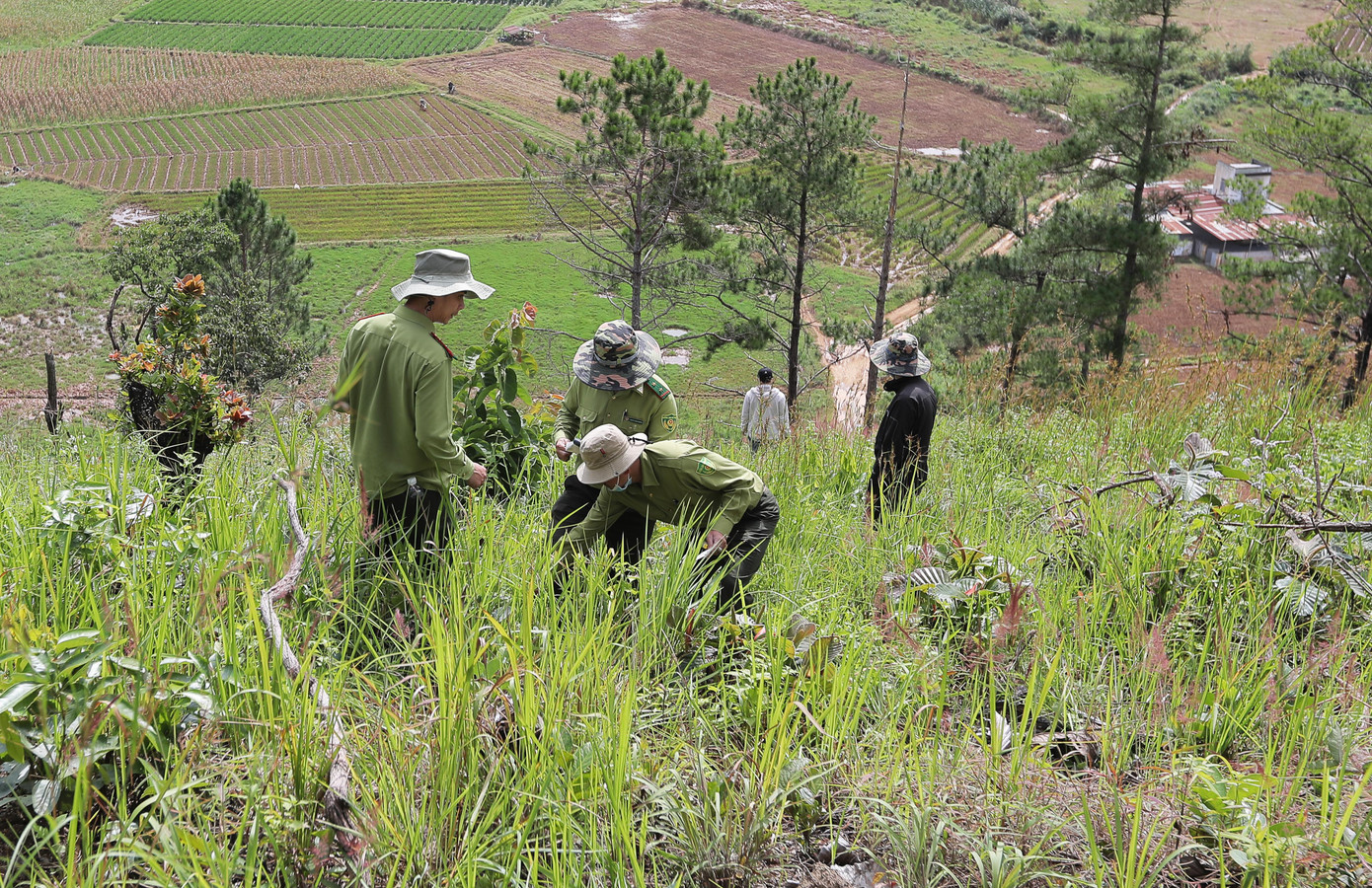 Lực lượng chức năng khám nghiệm hiện trường vụ phá rừng ở huyện Đức Trọng