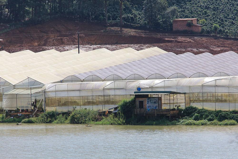 Nhà kính xây dựng trên hành lang an toàn hồ chứa nước sinh hoạt Nhà kính xây dựng trên hành lang an toàn hồ chứa nước sinh hoạt