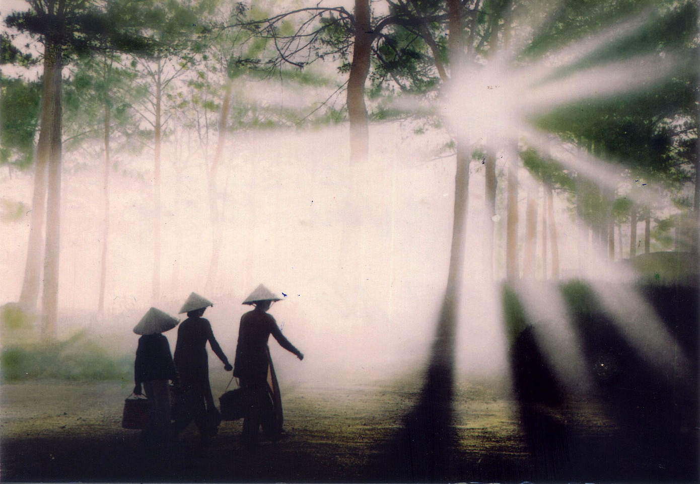 Bức ảnh Đà lạt xưa của cố nghệ sĩ nhiếp ảnh Đặng Văn Thông.