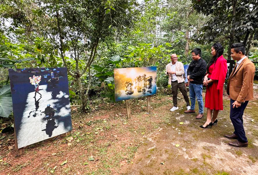 Triển lãm ảnh trên đồi.