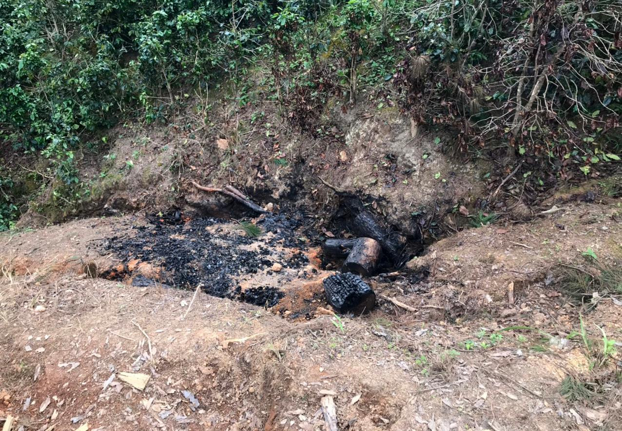 Đốt các khúc thông để phi tang