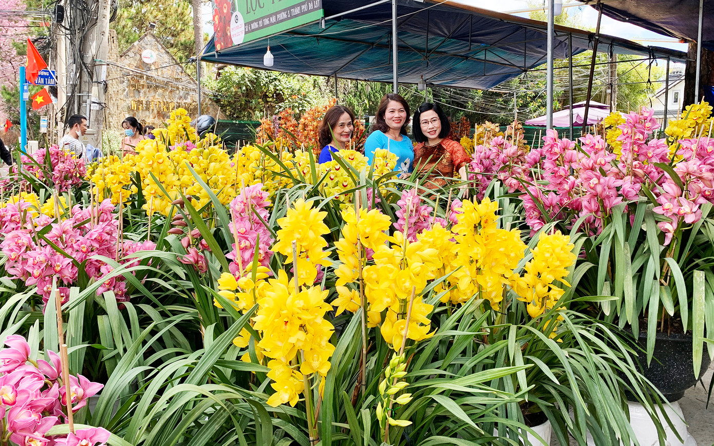 Nhiều người mua hoa và chụp ảnh lưu niệm ở những địa điểm bán hoa trên đường phố Nhiều người mua hoa và chụp ảnh lưu niệm ở những địa điểm bán hoa trên đường phố