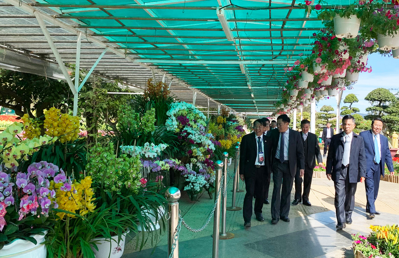 Nơi trưng bày hoa lan tại Hội hoa xuân 2023 Nơi trưng bày hoa lan tại Hội hoa xuân 2023