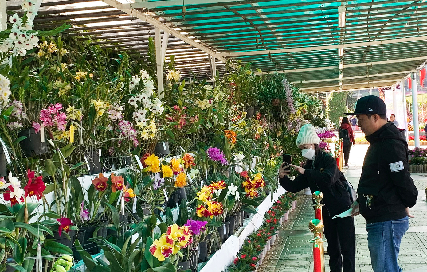 Khu trưng bày các tác phẩm dự thi tại Hội hoa xuân Khu trưng bày các tác phẩm dự thi tại Hội hoa xuân