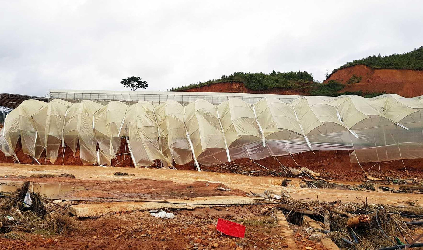 San bạt đồi làm nhà kính gây mất mỹ quan