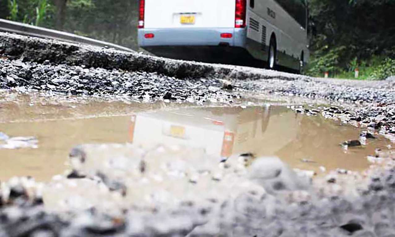 Ổ voi trên quốc lộ ở Lâm Đồng Ổ voi trên quốc lộ ở Lâm Đồng