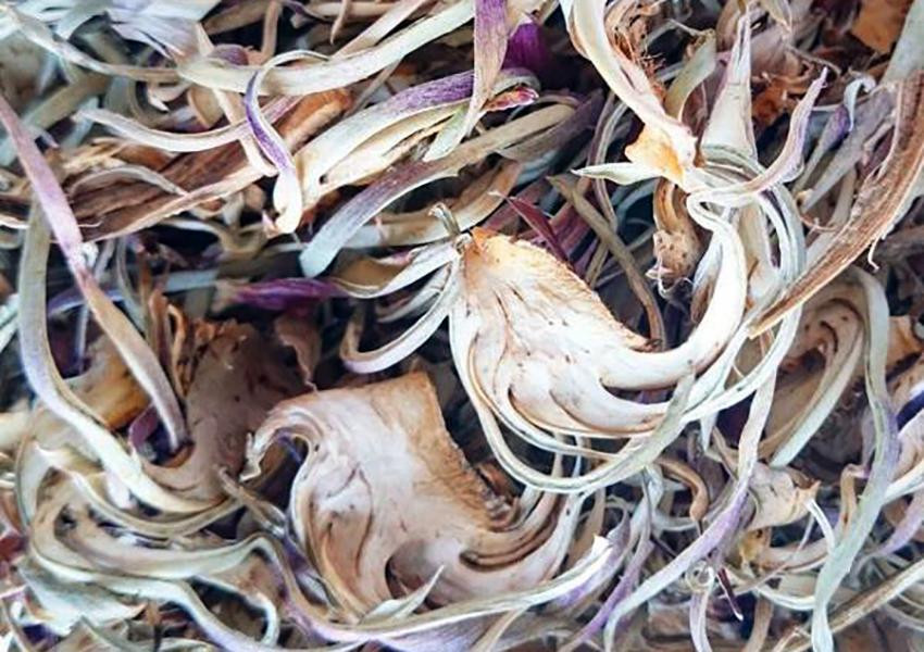 Bông Atiso chẻ nhỏ, sấy khô để chế biến trà hoặc nấu nước uống Bông Atiso chẻ nhỏ, sấy khô để chế biến trà hoặc nấu nước uống