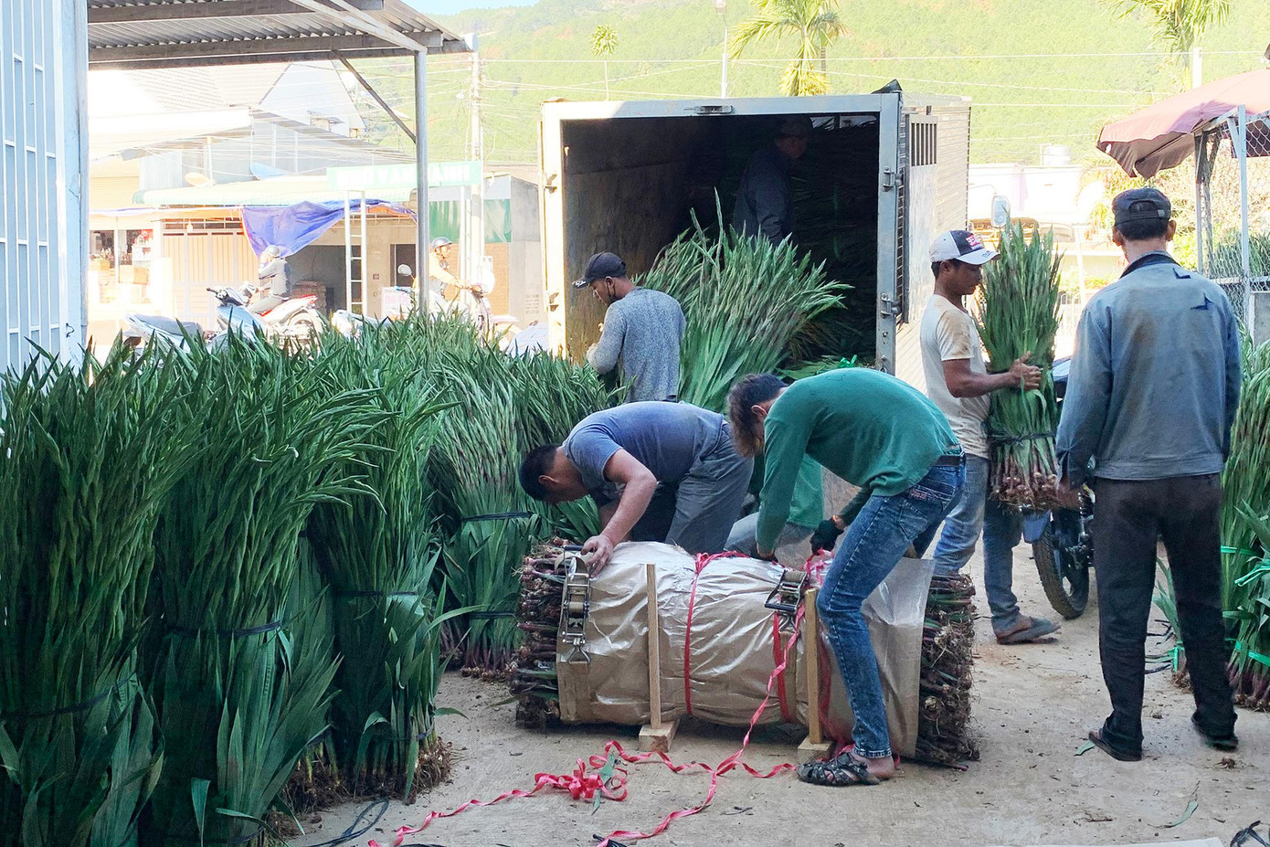 Tấp nập cảnh mua bán ở vựa hoa